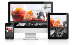 responsive-website-design-everything-you-need-to-know-about-responsive-design4_mini[1]